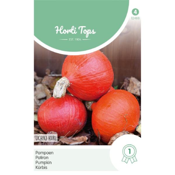 Pompoen Uchiki Kuri - Horti Tops