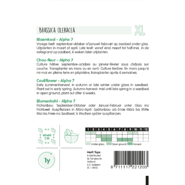 Bloemkool Alpha 7 - Horti Tops - Afbeelding 3