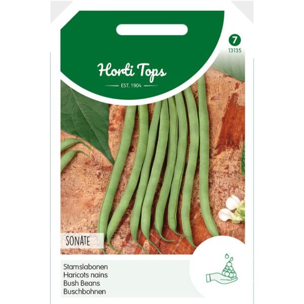 Horti Tops - Stamslaboon Sonate (front)