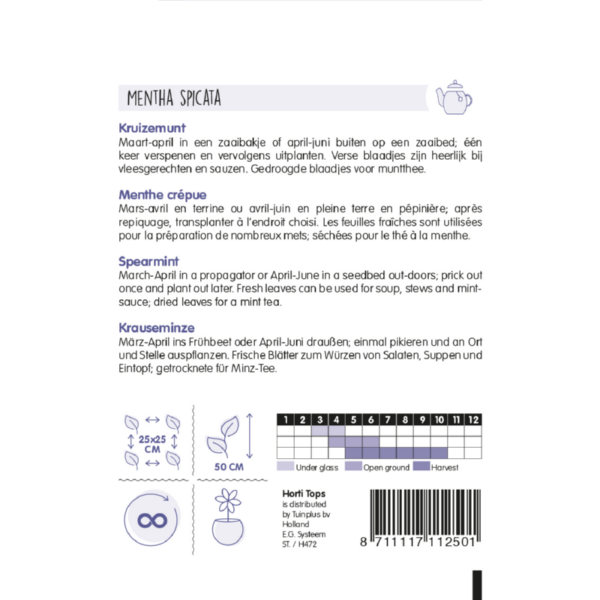 Horti Tops - Kruizemunt (back)
