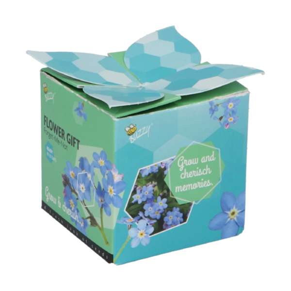 Flower Gift - Vergeet-me-nietje