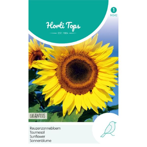Reuzenzonnebloem - Horti Tops